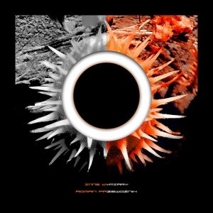 INNE WYMIARY - roman przewoźnik - KATALOG wystawy